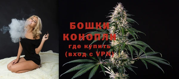 прущий лед Вяземский