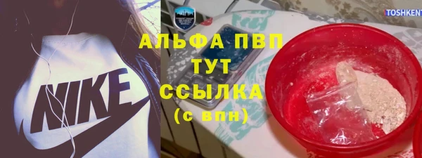 прущий лед Вяземский