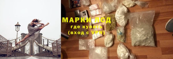 прущий лед Вяземский