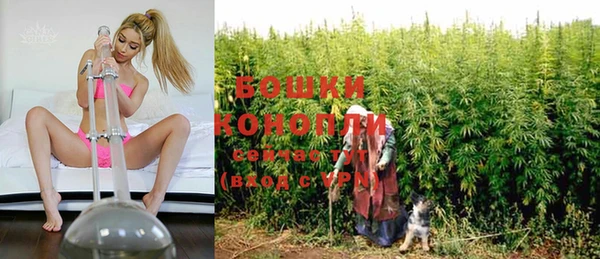 прущий лед Вяземский