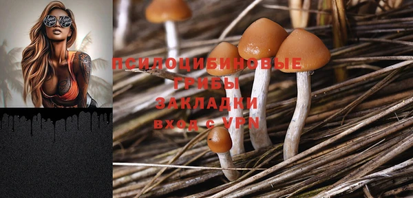 2c-b Вязьма