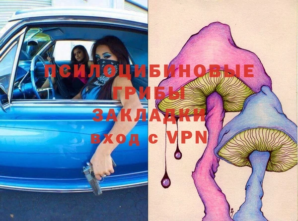 прущий лед Вяземский
