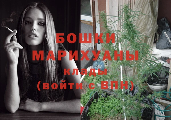 прущий лед Вяземский