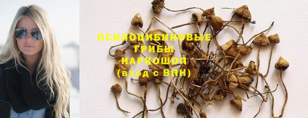 прущий лед Вяземский