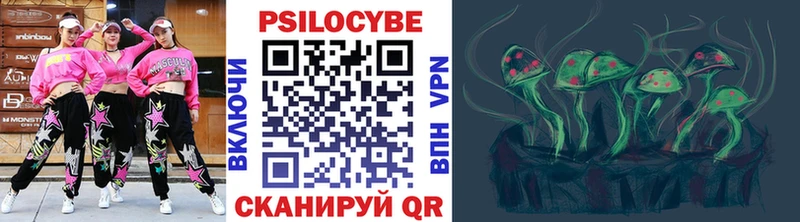 Купить закладки  Сасово  Псилоцибиновые грибы мухоморы 